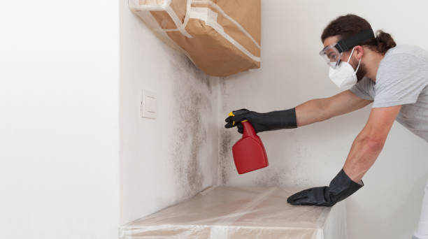 Professional Mold Testing technician working in Edgewood, WA